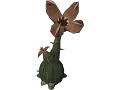 Livid farm guide Runescape 2015