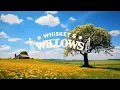 Zach Bryan - Heavy Eyes (Lyrics)