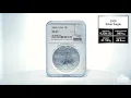 2000 Silver American Eagle