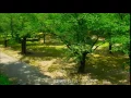 宮野真守 『カノン』