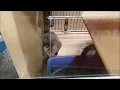 Petsmart Walkthrough