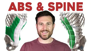 Download How to Remember Every Muscle in the Back and Abdomen | Corporis MP3