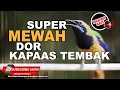 Download Lagu #1 🔴Super Mewah Isian Kapas Tembak Kasar❗️Cucak Cungkok Gacor Dorr
