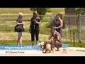 Niagara Falls Bark Park