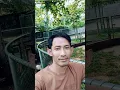 Download Lagu Dilema Cinta (Ungu)