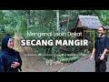 Download Lagu Hidup Bahagia di Tengah Kebun Kopi | Kisah Suami Istri di Secang Mangir Banyuwangi