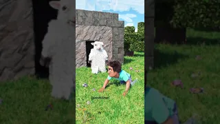 Minecraft RTX 185 REVERSE Shorts 