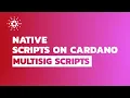Native Scripts on Cardano - Multi-Sig Scripts