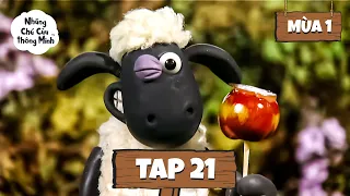 Shaun the Sheep [ViệtNam] Mùa 1 Tập 21