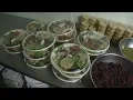 Tao Foods Helping Feed Front Line Workers
