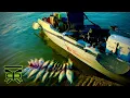 MINNOWS for CRAPPIE with the BEST BAIT BOX on the MARKET