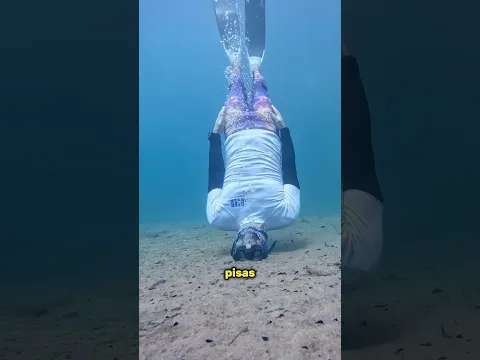 Toda la arena del mar es caca