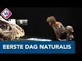 Download Lagu Grote drukte bij eerste dag: iedereen wil vernieuwd Naturalis zien - OMROEP WEST