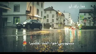 ضجيج المطر وأجواء الشتاء حالات واتس اب عن الشتاء والمطر ستوريات قصيرة تساقط الأمطار 