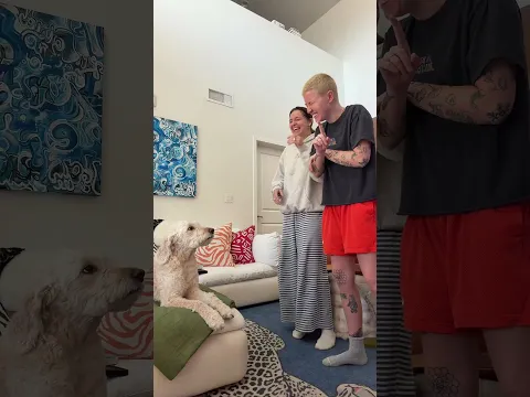 Our Dog Learned The Funniest Trick π€£πΎ