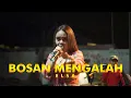 Download Lagu BOSAN MENGALAH - ELSA