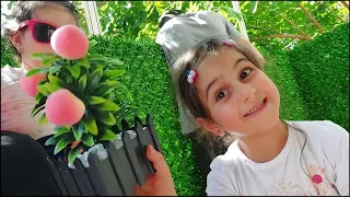 ذهب وألماس قضو يوم كامل بالبلكونة  ألماس أخذت اللقاح وبكيت كتير ياحرام   دندنها