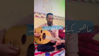 ماهو بكيفك الرويشد جلسه الثلاثاء العم يوسف الرامي 
