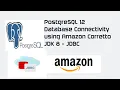 How to connect to PostgreSQL 12 using PostgreSQL JDBC Driver with Amazon Corretto JDK 8