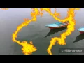 Phantom 3 Standard, Beri Makan Lumba Lumba Di Laut Lepas Teluk Etna Kab Kaimana