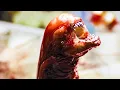 Download Lagu The Iconic Chestburster Scene - ALIEN (1979) Movie Clip