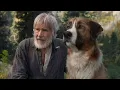 Download Lagu BUCK, A brave dog