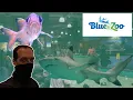 Blue Zoo - Spokane Washington 1 Day in Spokane