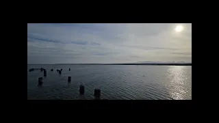                                                    يا بحر يا بعيد            دندنها