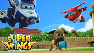 ✈️ Toy Trackers | Super Wings | Cartoons for Kids