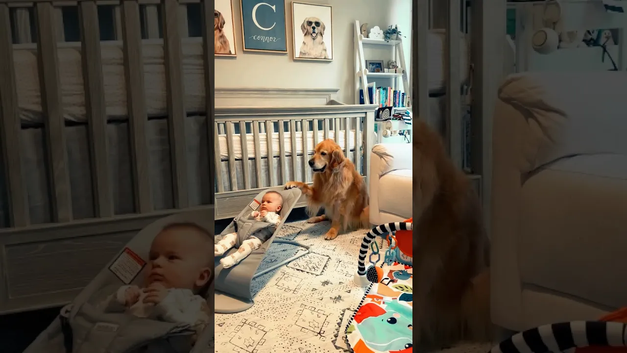The dog second mom