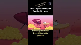 أعضاء الجسم بعد صيام 36 ساعة اكسبلور ترند تخسيس ريجيم دايت رشاقة وعي السمنة Funny 