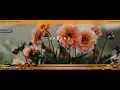 Parallax Scrolling Effect using HTML and CSS