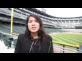 Guaranteed Rate Field new features