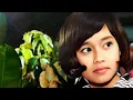 Download Lagu GITA MALAM - ANNA MATHOVANI  ( P'Dhede Ciptamas ).wmv
