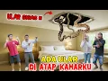 Download Lagu Gawat !!! Ada Ular Gigas Di Atap Plafon Kamarku