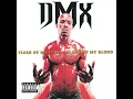 Download Lagu DMX - Blackout (Feat. Jay-Z \u0026 The LOX)
