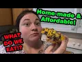 Download Lagu How I Feed My Family of 5 | Realistic, Affordable Food Ideas!