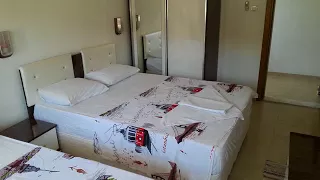                                           دندنها