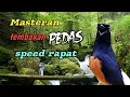 AUDIO MASTERAN MURAI BATU || TEMBAKAN PEDAS || SPEED RAPAT