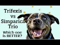 Trifexis vs Simparica Trio Choosing the Best Flea Tick Protection for Your Dog