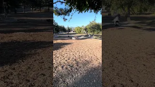 #fyp #dream #doberman #pets #youtube
