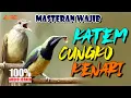 Lagu MASTERAN KAPAS TEMBAK - CUCAK CUNGKO - KENARI