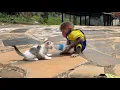 Download Lagu Poor Monkey Moon, just wanted a friend. But the kitten attacked her!