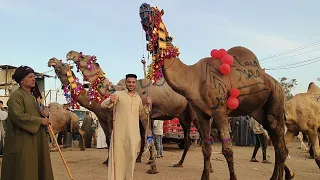                                                                                                      دندنها
