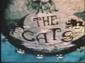 Download Lagu The story of the Cats 1982