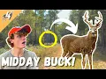 BIG BUCKS Walking MIDDAY - North Carolina Deer Hunting