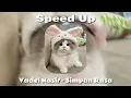Download Lagu playlist; lagi jatuh cinta (speed up)