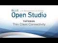 BLUE Open Studio Tutorial Thin Client Connectivity