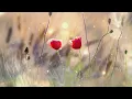 TobyMac | Me Without you (Lyrics)