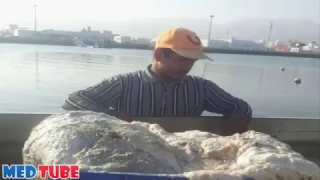 صياد ع ماني فقير قادته  رائحة كريهة  في البحر إلى ثروة بالملايين             دندنها